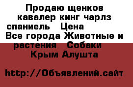 Продаю щенков кавалер кинг чарлз спаниель › Цена ­ 40 000 - Все города Животные и растения » Собаки   . Крым,Алушта